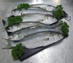Fish shop